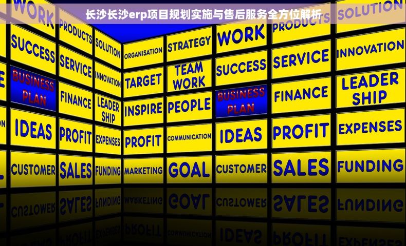 长沙长沙erp项目规划实施与售后服务全方位解析