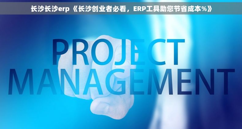 长沙长沙erp 《长沙创业者必看，ERP工具助您节省成本%》