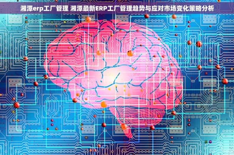 湘潭erp工厂管理 湘潭最新ERP工厂管理趋势与应对市场变化策略分析