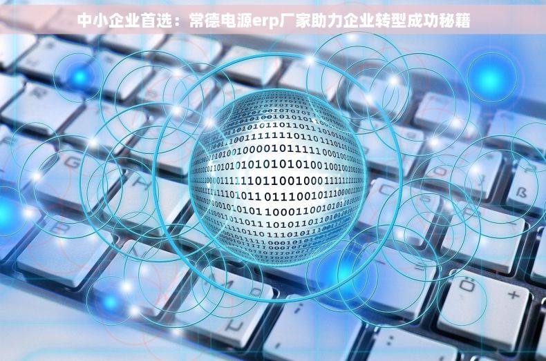 中小企业首选：常德电源erp厂家助力企业转型成功秘籍