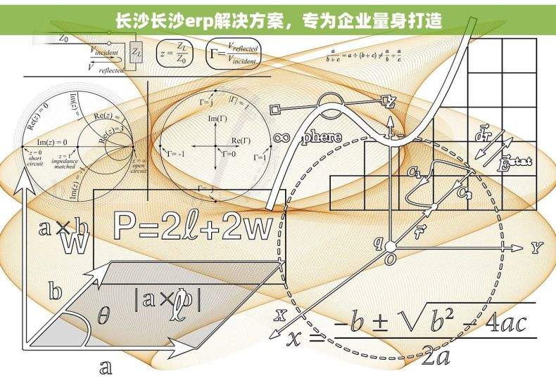 长沙长沙erp解决方案，专为企业量身打造