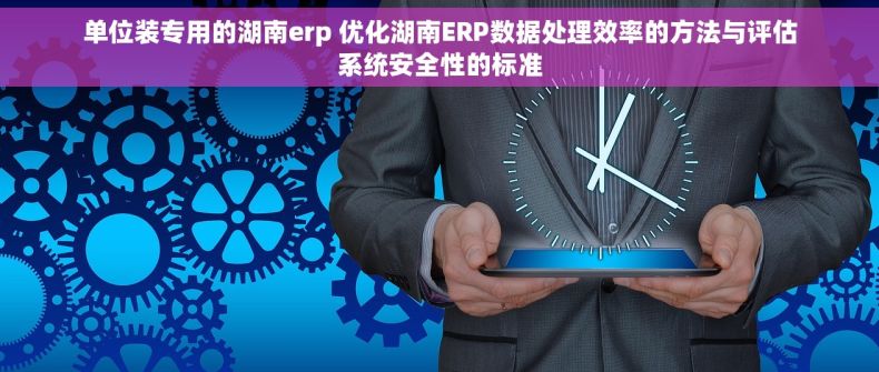 单位装专用的湖南erp 优化湖南ERP数据处理效率的方法与评估系统安全性的标准