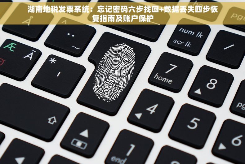 湖南地税发票系统：忘记密码六步找回+数据丢失四步恢复指南及账户保护