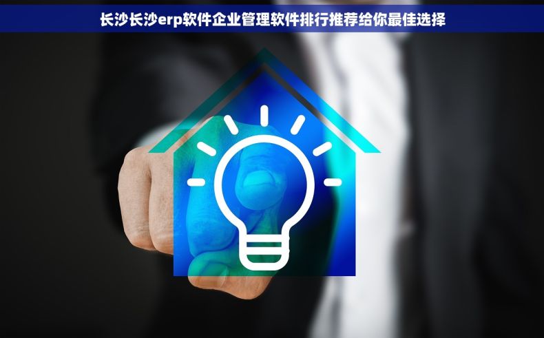 长沙长沙erp软件企业管理软件排行推荐给你最佳选择