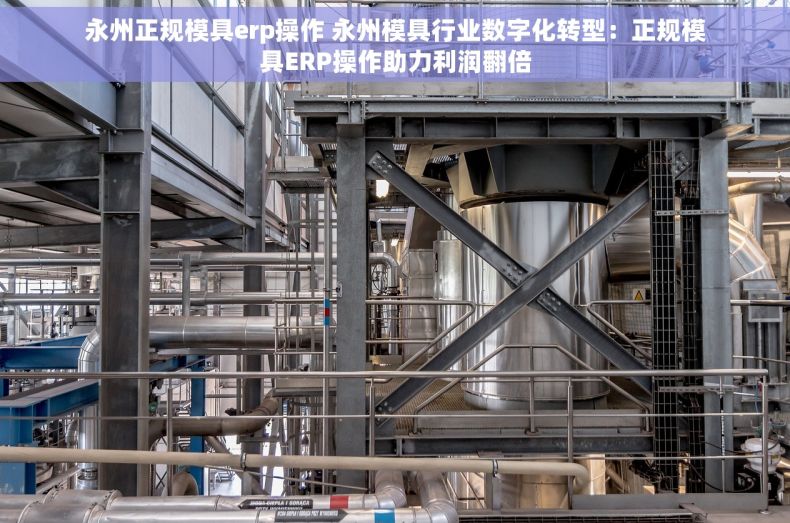 永州正规模具erp操作 永州模具行业数字化转型：正规模具ERP操作助力利润翻倍
