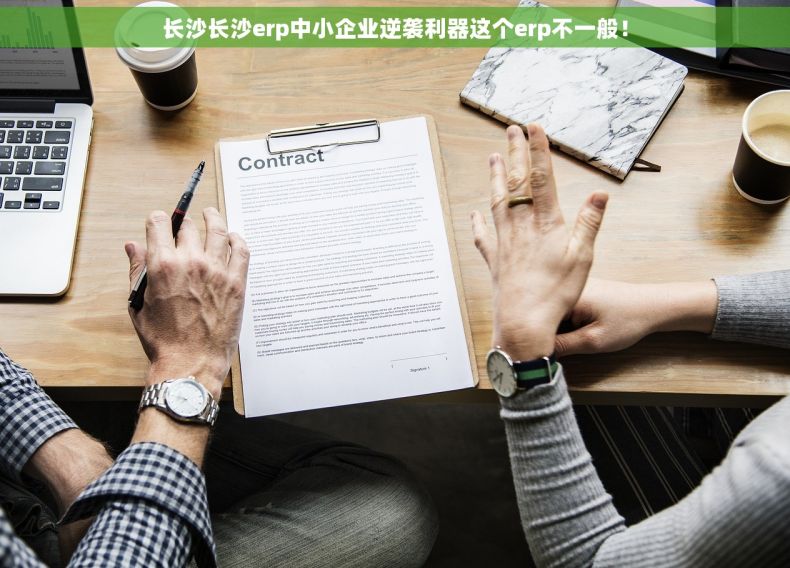 长沙长沙erp中小企业逆袭利器这个erp不一般！