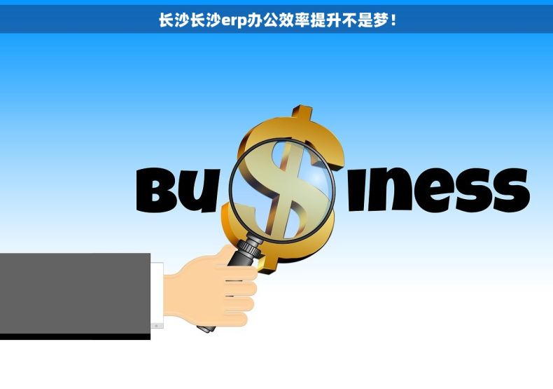 长沙长沙erp办公效率提升不是梦！