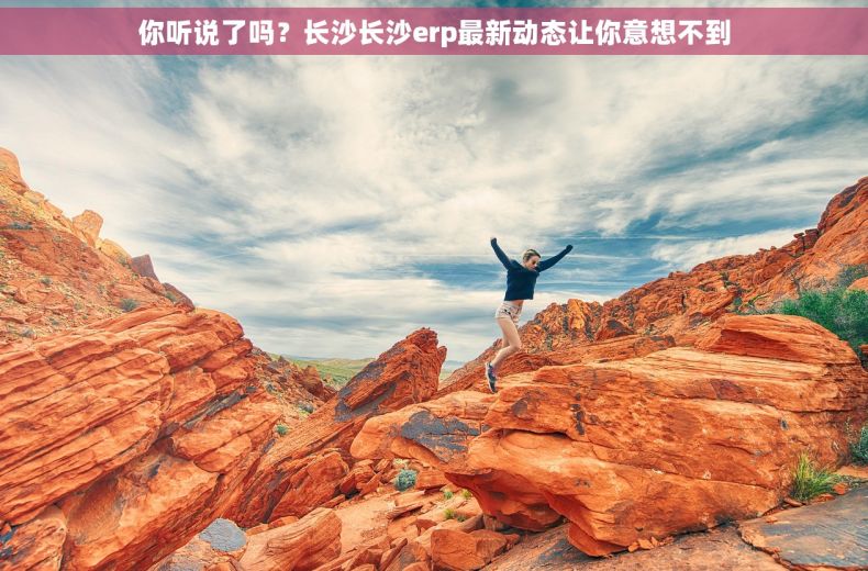 你听说了吗？长沙长沙erp最新动态让你意想不到