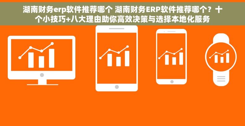 湖南财务erp软件推荐哪个 湖南财务ERP软件推荐哪个？十个小技巧+八大理由助你高效决策与选择本地化服务