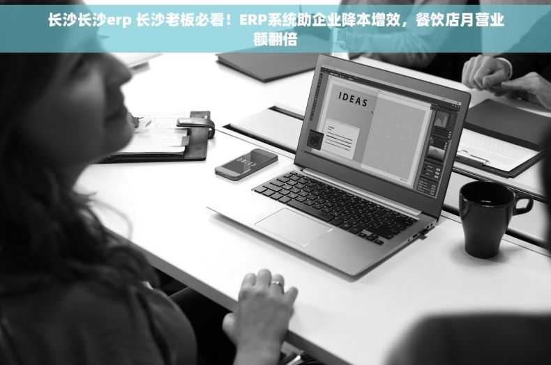 长沙长沙erp 长沙老板必看！ERP系统助企业降本增效，餐饮店月营业额翻倍