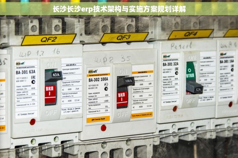 长沙长沙erp技术架构与实施方案规划详解