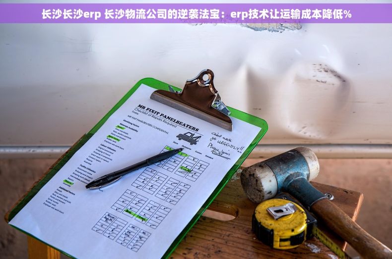 长沙长沙erp 长沙物流公司的逆袭法宝：erp技术让运输成本降低%