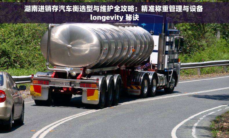 湖南进销存汽车衡选型与维护全攻略：精准称重管理与设备 longevity 秘诀