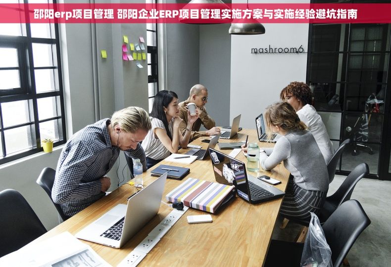 邵阳erp项目管理 邵阳企业ERP项目管理实施方案与实施经验避坑指南