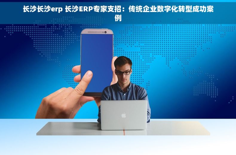 长沙长沙erp 长沙ERP专家支招：传统企业数字化转型成功案例