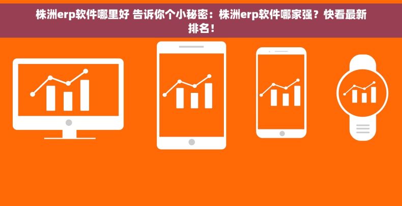 株洲erp软件哪里好 告诉你个小秘密：株洲erp软件哪家强？快看最新排名！
