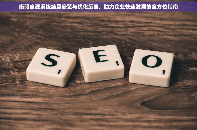 衡阳自建系统结算安装与优化策略，助力企业快速发展的全方位指南