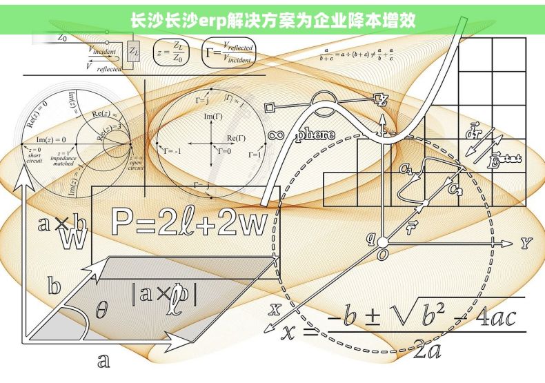 长沙长沙erp解决方案为企业降本增效