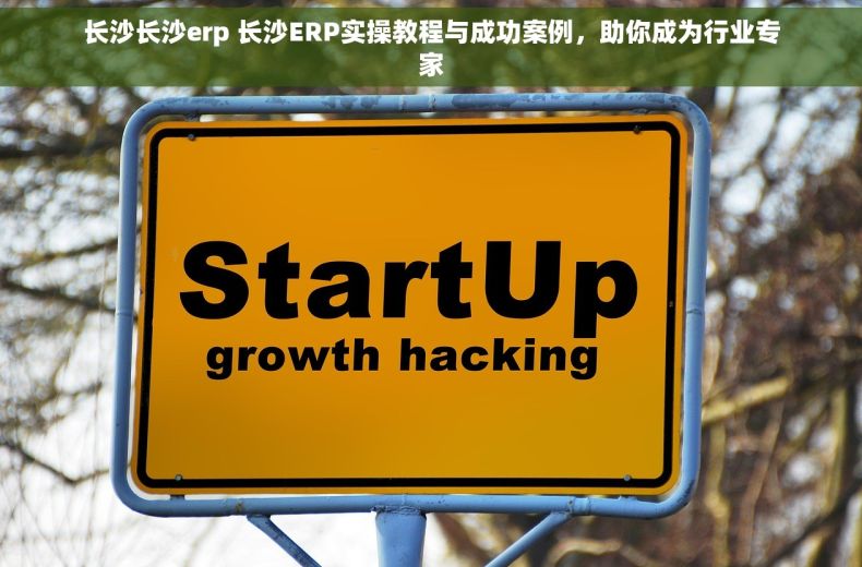 长沙长沙erp 长沙ERP实操教程与成功案例，助你成为行业专家