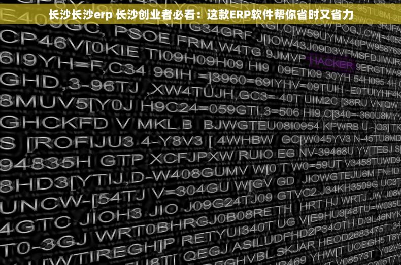长沙长沙erp 长沙创业者必看：这款ERP软件帮你省时又省力