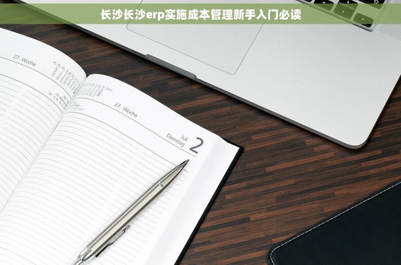长沙长沙erp实施成本管理新手入门必读