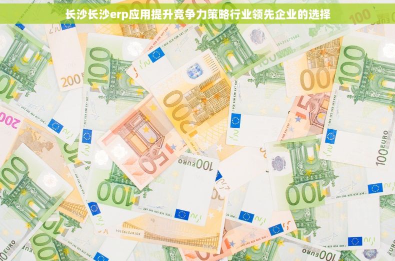 长沙长沙erp应用提升竞争力策略行业领先企业的选择