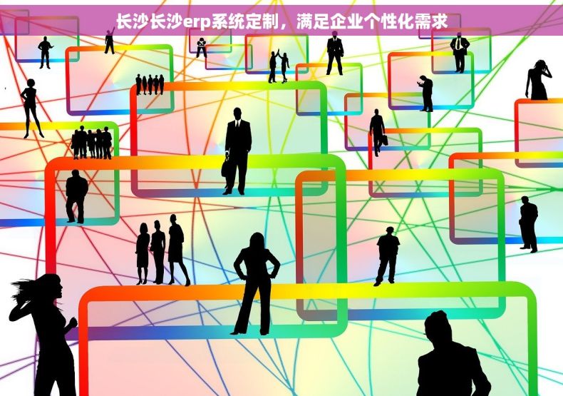 长沙长沙erp系统定制，满足企业个性化需求