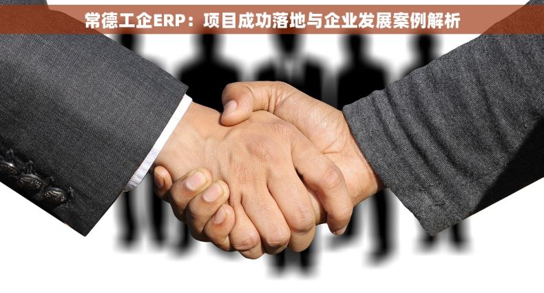常德工企ERP：项目成功落地与企业发展案例解析