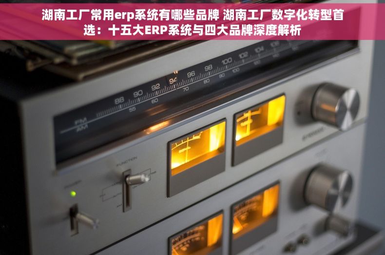 湖南工厂常用erp系统有哪些品牌 湖南工厂数字化转型首选：十五大ERP系统与四大品牌深度解析