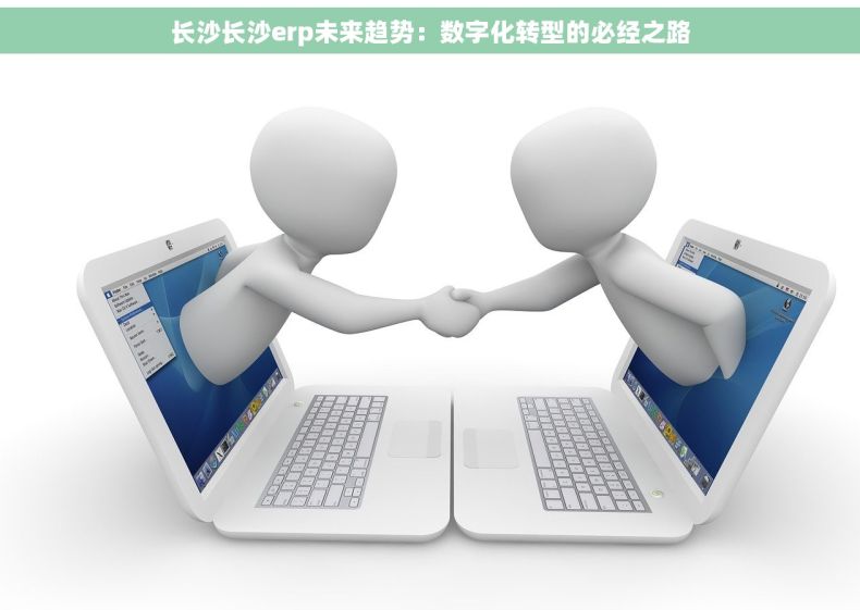 长沙长沙erp未来趋势：数字化转型的必经之路