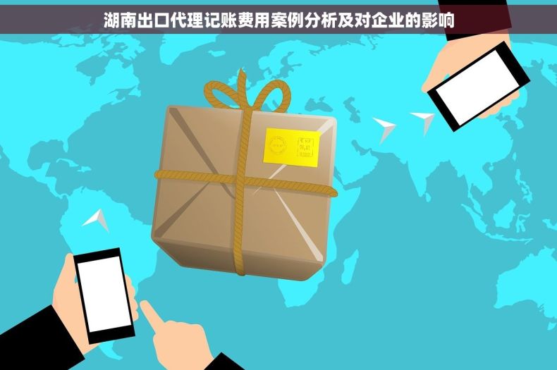 湖南出口代理记账费用案例分析及对企业的影响