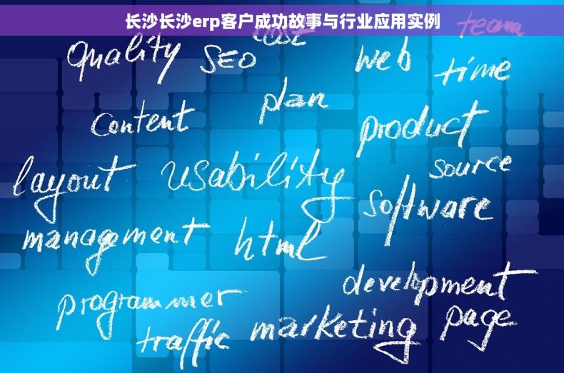 长沙长沙erp客户成功故事与行业应用实例