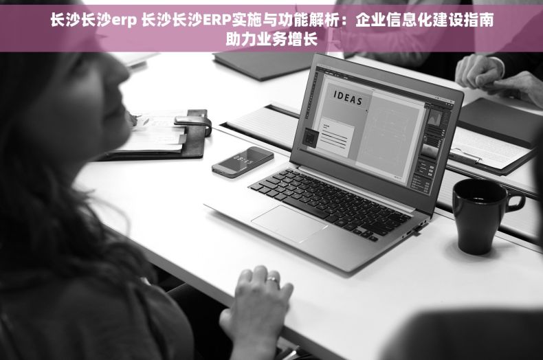 长沙长沙erp 长沙长沙ERP实施与功能解析：企业信息化建设指南助力业务增长
