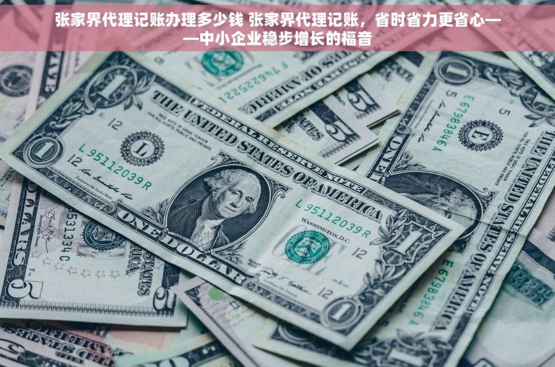张家界代理记账办理多少钱 张家界代理记账，省时省力更省心——中小企业稳步增长的福音