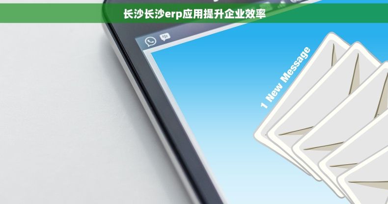 长沙长沙erp应用提升企业效率