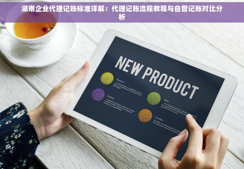 湖南企业代理记账标准详解：代理记账流程教程与自营记账对比分析