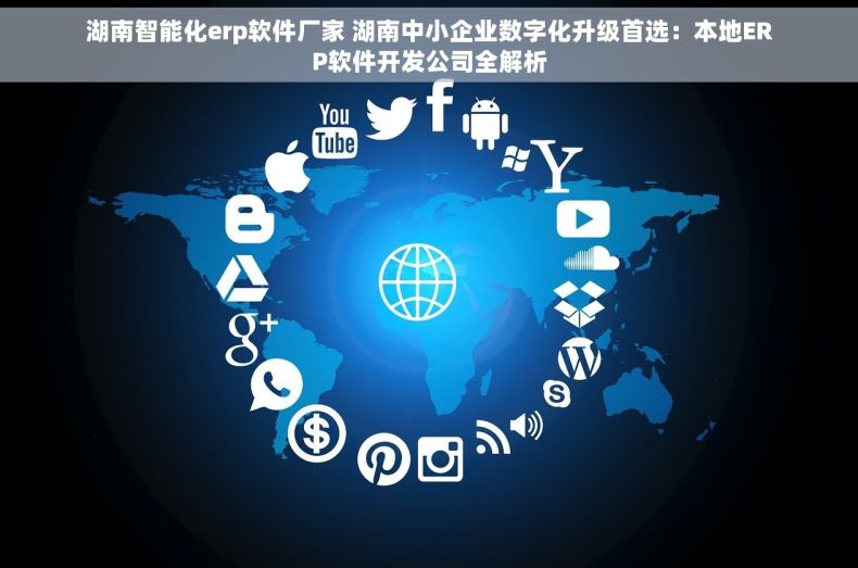 湖南智能化erp软件厂家 湖南中小企业数字化升级首选：本地ERP软件开发公司全解析