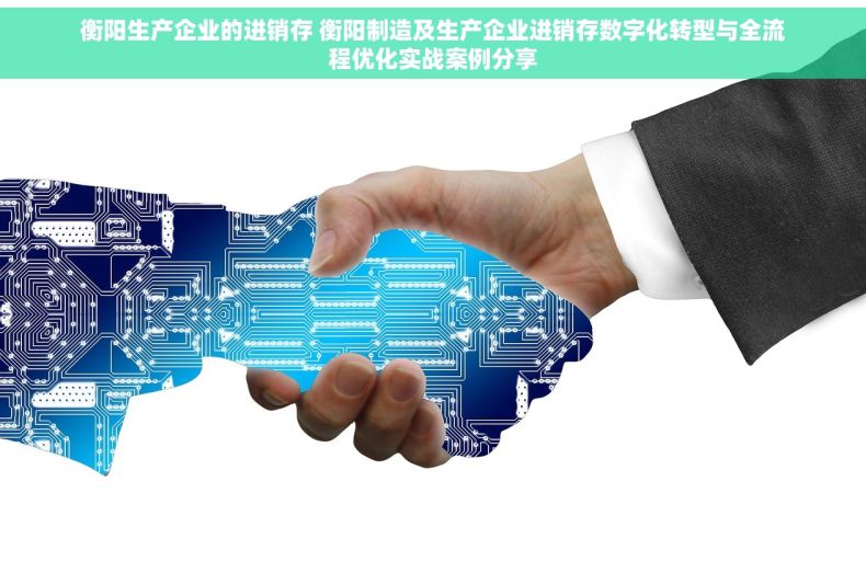 衡阳生产企业的进销存 衡阳制造及生产企业进销存数字化转型与全流程优化实战案例分享
