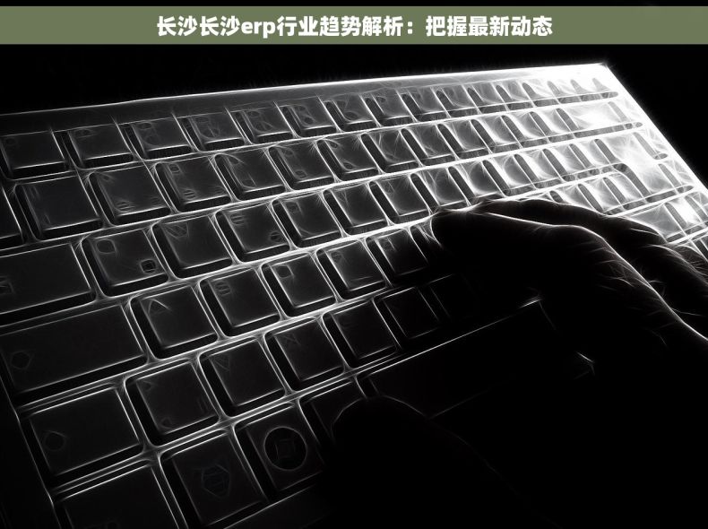 长沙长沙erp行业趋势解析：把握最新动态