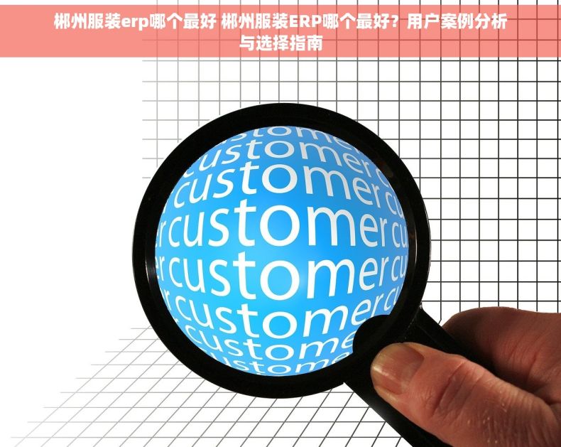 郴州服装erp哪个最好 郴州服装ERP哪个最好？用户案例分析与选择指南