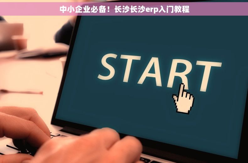中小企业必备！长沙长沙erp入门教程