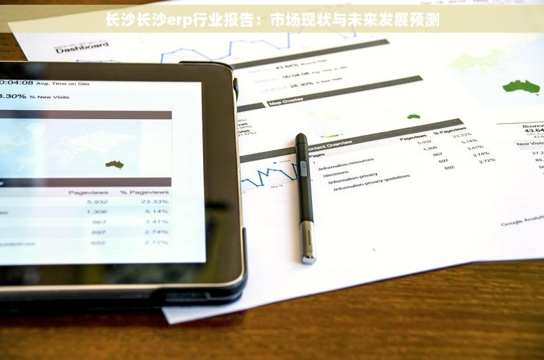 长沙长沙erp行业报告：市场现状与未来发展预测