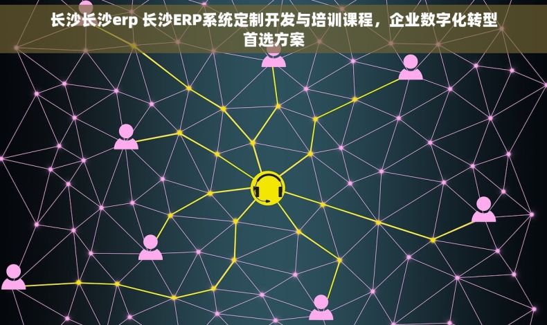 长沙长沙erp 长沙ERP系统定制开发与培训课程，企业数字化转型首选方案