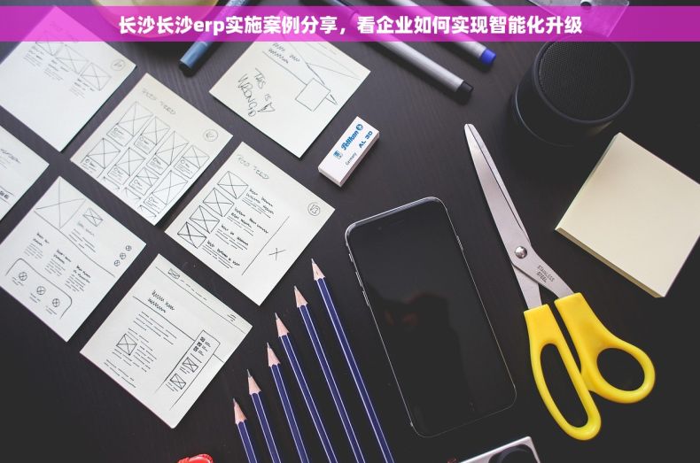 长沙长沙erp实施案例分享，看企业如何实现智能化升级