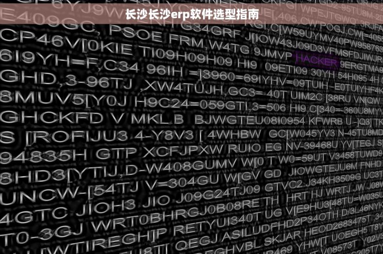 长沙长沙erp软件选型指南