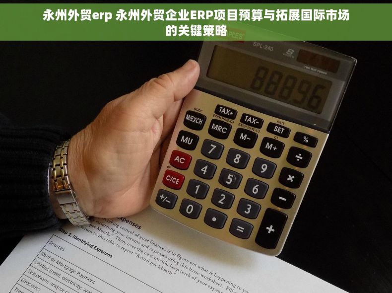 永州外贸erp 永州外贸企业ERP项目预算与拓展国际市场的关键策略