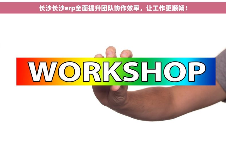 长沙长沙erp全面提升团队协作效率，让工作更顺畅！