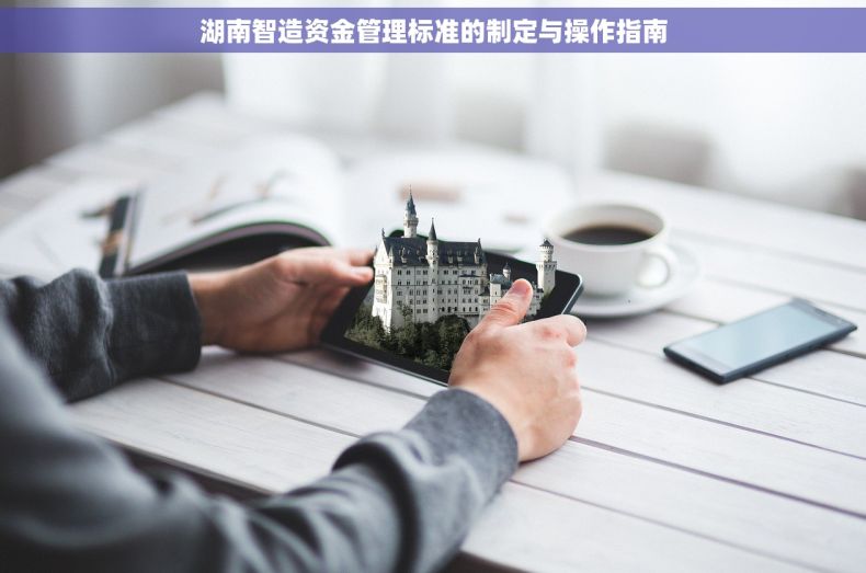 湖南智造资金管理标准的制定与操作指南