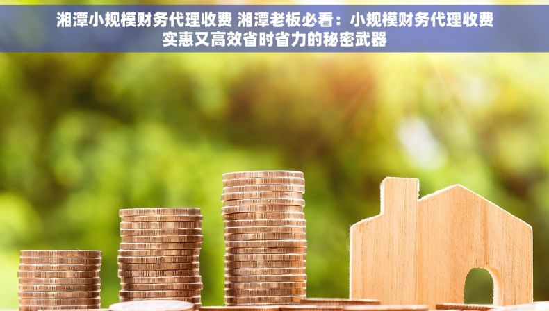 湘潭小规模财务代理收费 湘潭老板必看：小规模财务代理收费实惠又高效省时省力的秘密武器