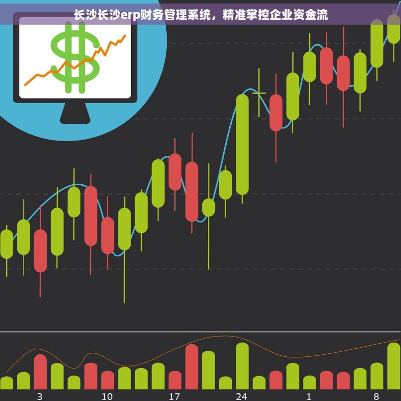 长沙长沙erp财务管理系统，精准掌控企业资金流